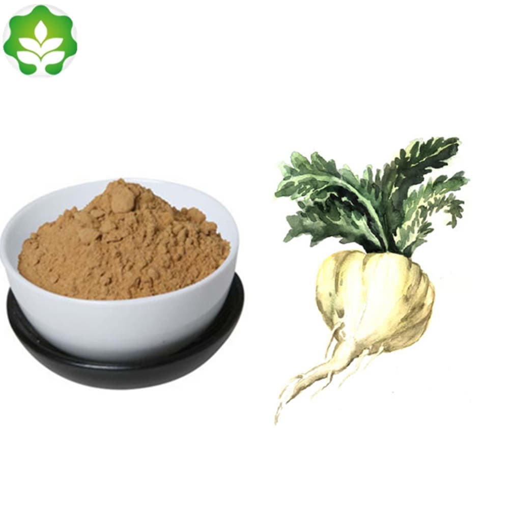 herbal supplements Maca root powder for long time sex